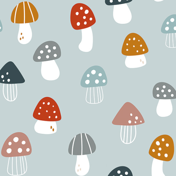 Softshell zimní houby