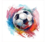 Bavlna premium Takoy PANEL M fotbalový míč