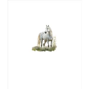 Úplet Takoy PANEL kůň malovaný bílý 50x60