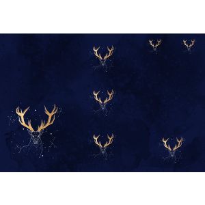 2. Třída - Panel na fusak z nepromokavého polyesteru 155x105 vzor souhvězdí zlatý jelen na modrém