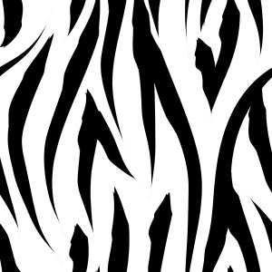 Funkční úplet na trička zebra